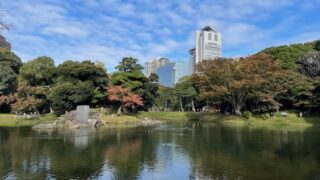 11/18 水戸黄門様ゆかりの「小石川後楽園」に紅葉を見に行ってきました🍁紅葉の見ごろは、もう少し先ですね。